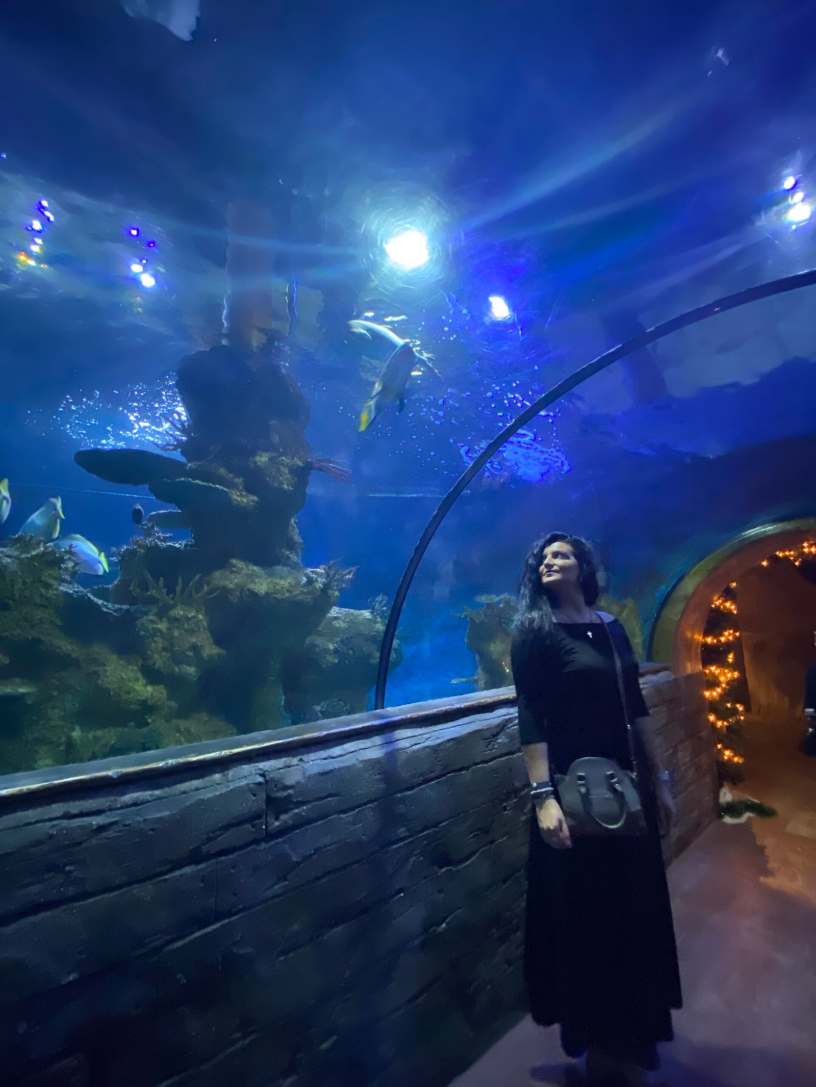 835565B4-5A6A-4A10-9C0B-28533E96DEC9